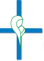 Home Logo